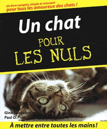 Un chat Poche pour les nuls