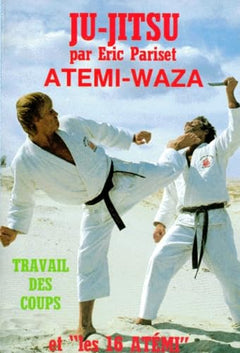 Atemi-Waza. Travail Des Coups Et "Les 16 Atemi"