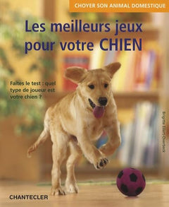 Les meilleurs jeux pour votre chien