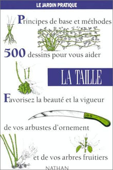La taille