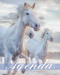 Agenda Cheval 2021-2022: Agenda scolaire 2021 2022 Cheval Organisateur Gestion du Temps Planificateur Semainer Journalier Nouvelle Année Académique ... pour le Cartable Cheval de Camargue 04
