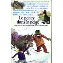 Le poney dans la neige