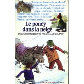 Le poney dans la neige