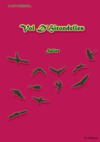 Vol d'Hirondelles