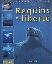 Requins en liberté