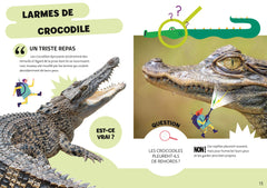 Idées reçues, vrai ou faux ? - Comment débusquer les fausses informations