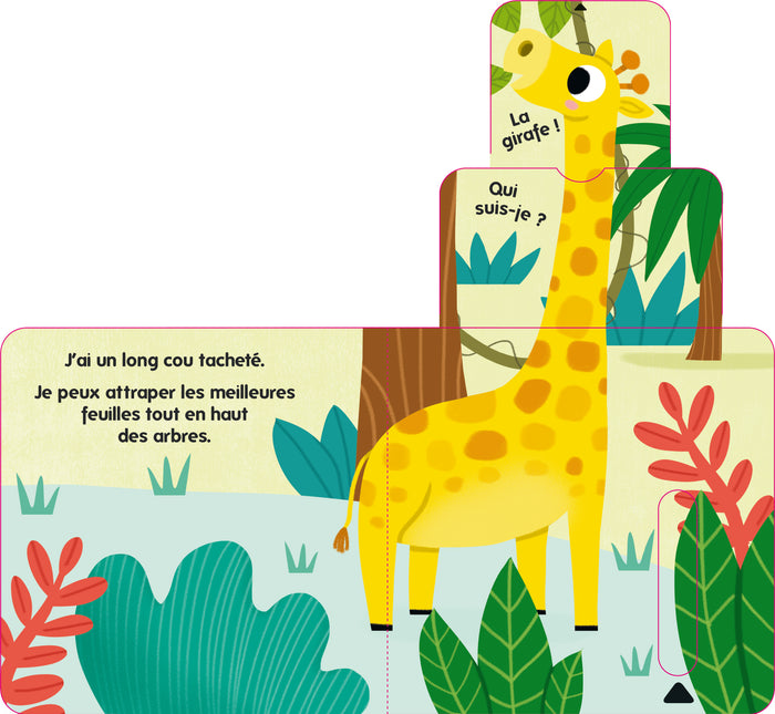 Qui vit dans la jungle ?