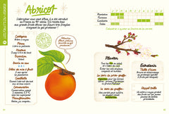 Faire pousser des fruits - Du balcon au verger !