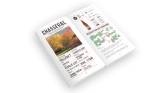 Randos bière en Suisse