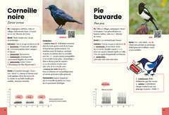 Reconnaître & retenir les chants d'oiseaux - La méthode en 5 étapes - 85 espèces et 180 chants