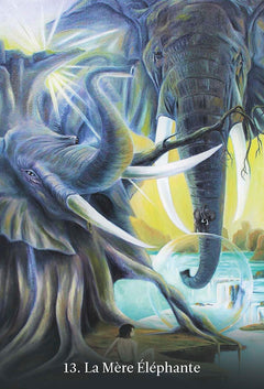 Coffret Fantasia Un voyage fantastique: Cartes contemplatives