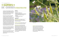 Fermentation naturelle