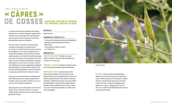 Fermentation naturelle