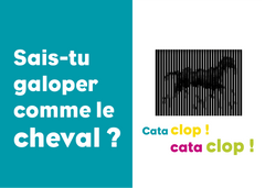 Au galop ! Mon premier livre cinémagique