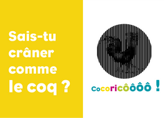 Au galop ! Mon premier livre cinémagique