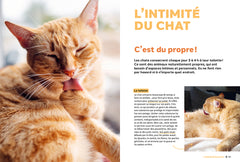 Pourquoi mon chat fait-il ça?