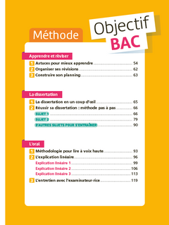Le chevalier de la charrette