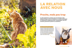 Pourquoi mon chat fait-il ça?