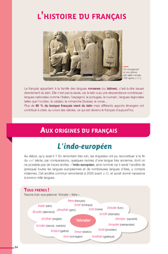 Dictionnaire Le Robert Collège