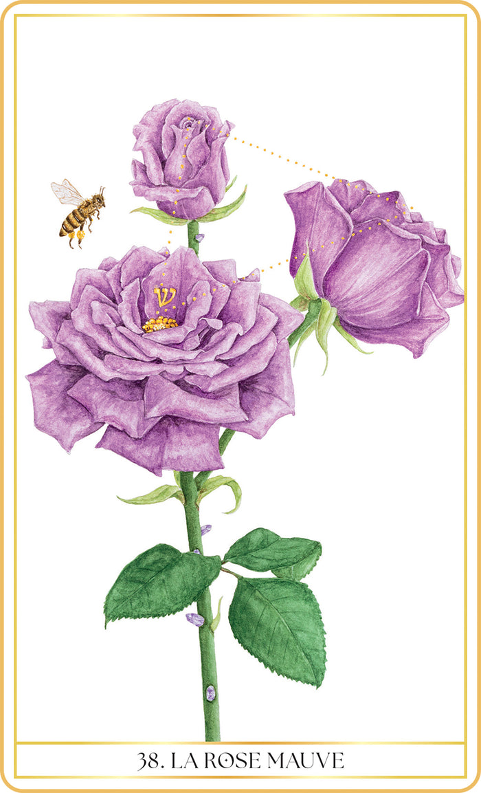 L'oracle des roses médecine