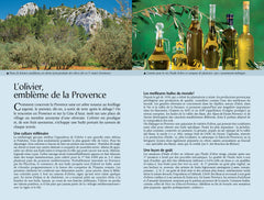Guide bleu Provence