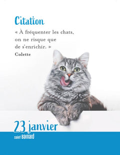 Le Grand 365 jours pour les amoureux des chats