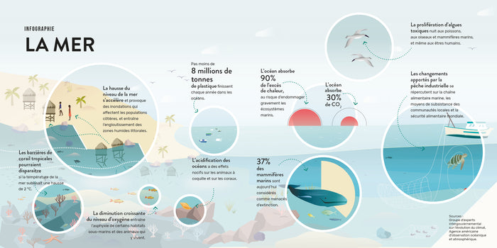 La mer : Un monde à préserver