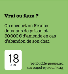 365 jours avec les chats