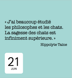 365 jours avec les chats