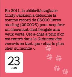 365 jours avec les chats