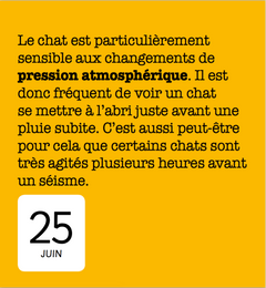 365 jours avec les chats