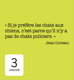 365 jours avec les chats