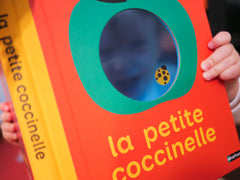 La petite coccinelle
