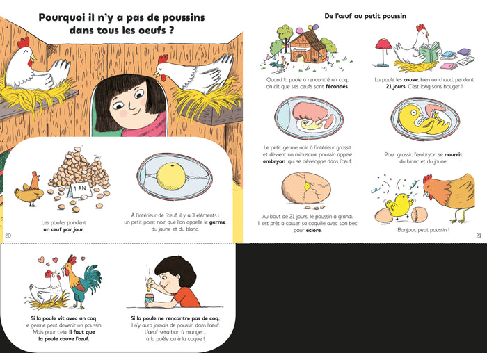 Explique-moi pourquoi la vache fait du lait ?