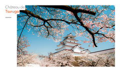 Semainier 2024 - Passion Japon