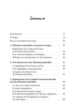 Les profondeurs du parcours Flammes Jumelles - Manuel d'incarnation du duo alchimique
