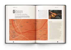 Voyage sur les traces de la guitare américaine - Un atlas illustré