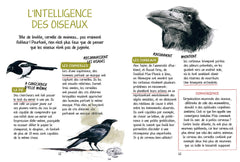 Découvrir les oiseaux de nos jardins