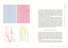 Créer avec la nature