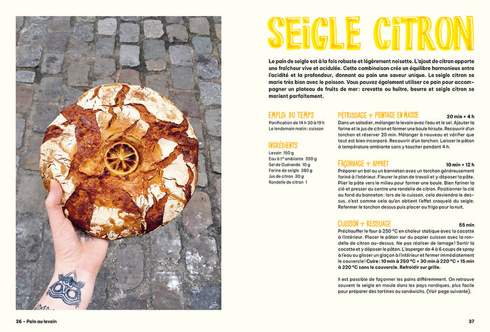 Toastie, pizzette, tartelette