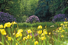 Le jardin des utopies