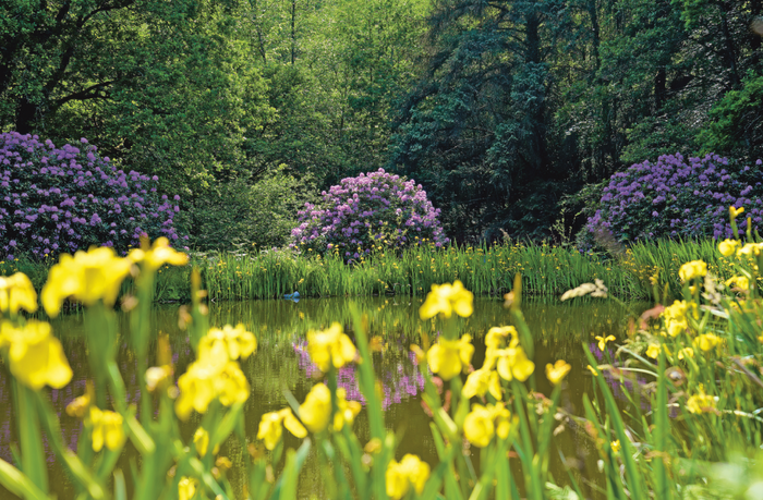 Le jardin des utopies