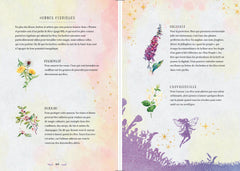 La magie des fées - Sortilèges et rituels d'enchantement