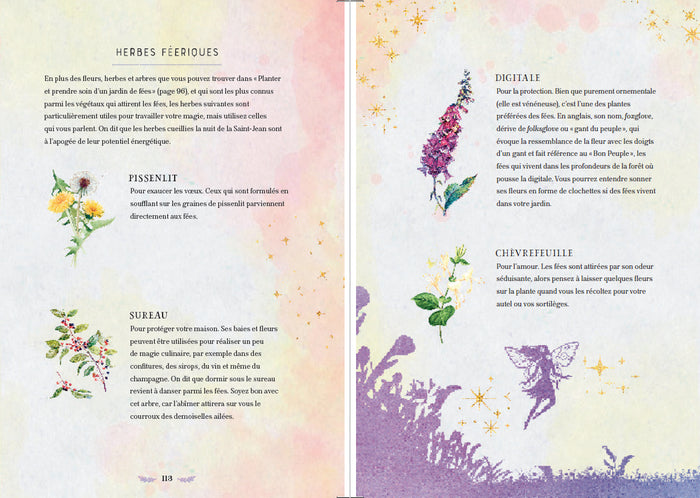La magie des fées - Sortilèges et rituels d'enchantement