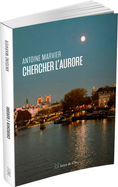 Chercher l'aurore