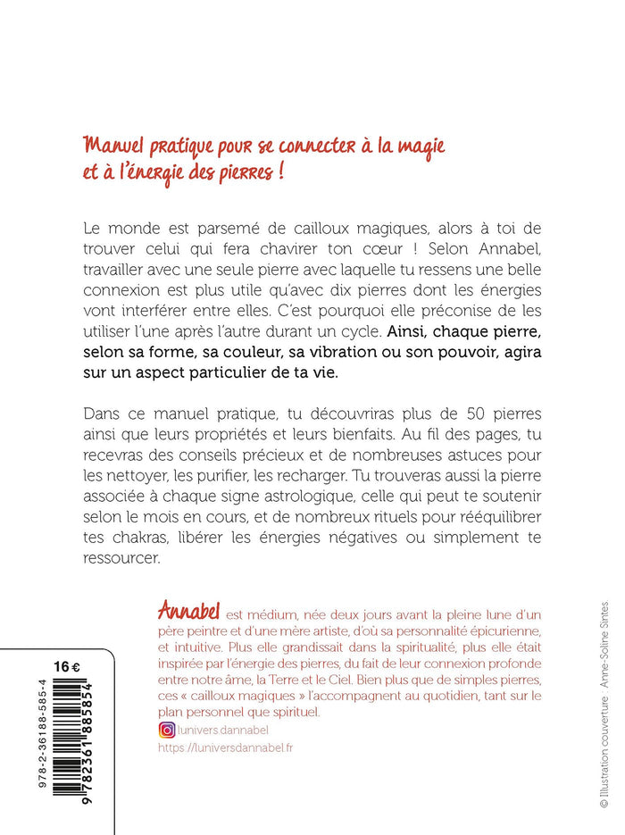 Choisis les pierres de ta vie ! - Manuel pratique