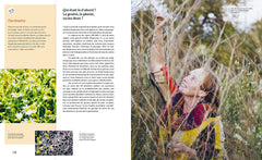 De la plante à la graine