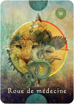 L'oracle pocket du chaman mystique