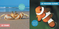 MON PREMIER DOC PHOTO - LES ANIMAUX DE LA MER