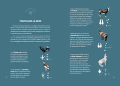Ski de rando - Des premières traces à l'autonomie - Tome 1